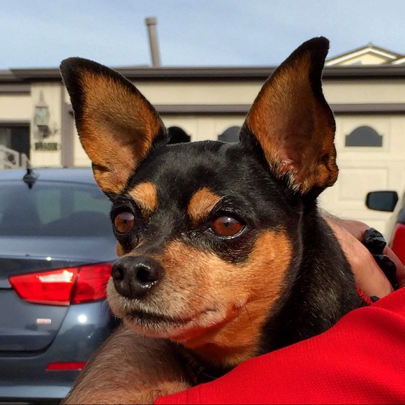 Meet your Posher, Junko - Picture 1 of 1